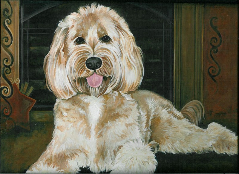Sunny Dae Goldendoodles - Homestead Business Directory